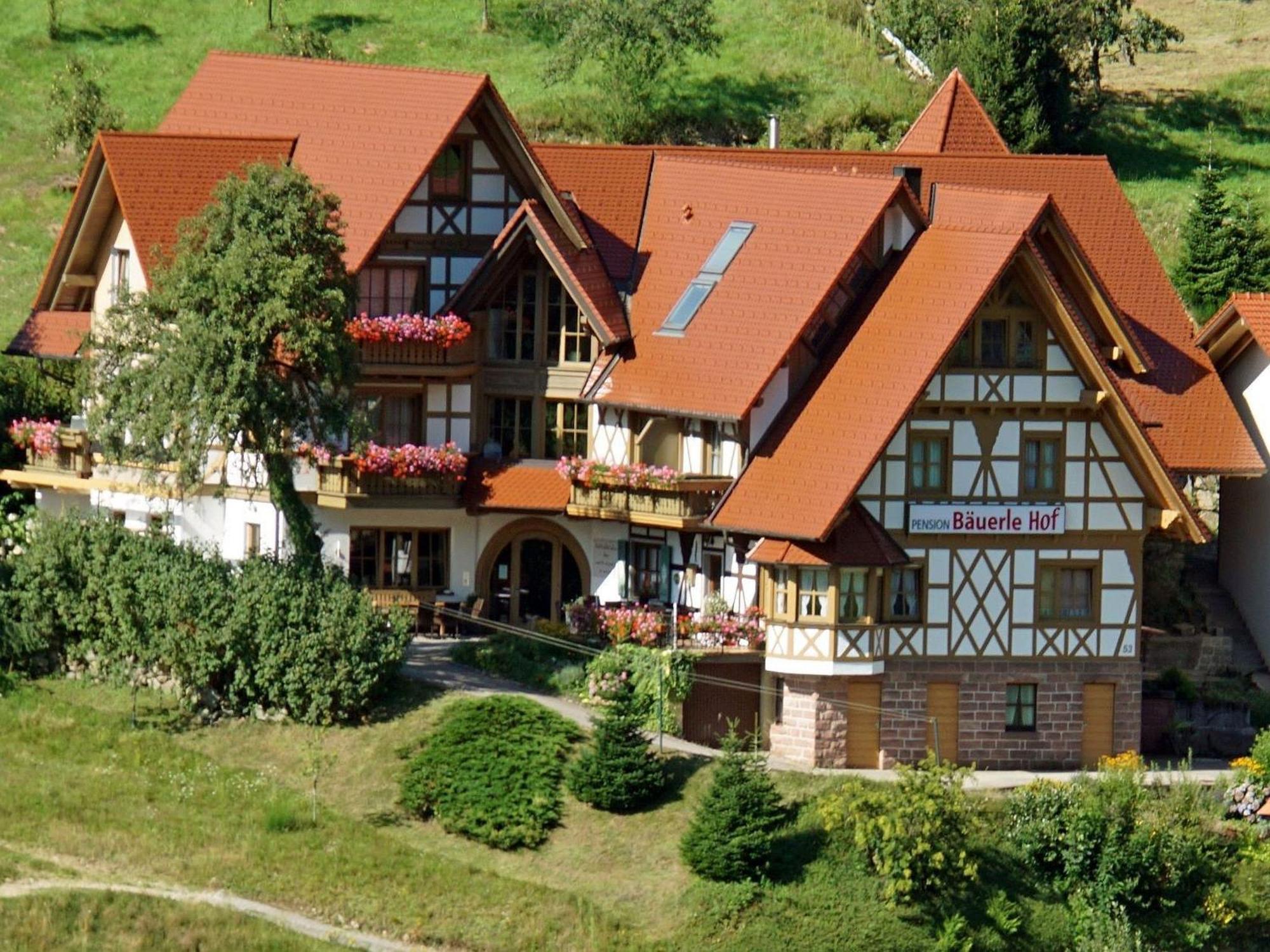 Готель Baeuerlehof Зебах Екстер'єр фото